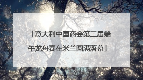 意大利中国商会第三届端午龙舟赛在米兰圆满落幕