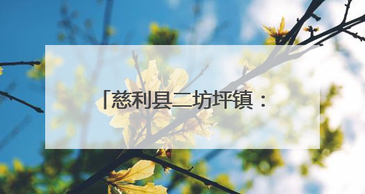 慈利县二坊坪镇：从建档立卡户到“农机达人”的奋斗路