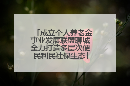 成立个人养老金事业发展联盟聊城全力打造多层次便民利民社保生态