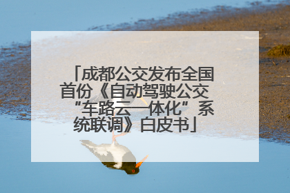 成都公交发布全国首份《自动驾驶公交“车路云一体化”系统联调》白皮书