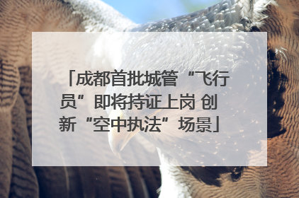成都首批城管“飞行员”即将持证上岗 创新“空中执法”场景