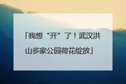 我想“开”了！武汉洪山多家公园荷花绽放