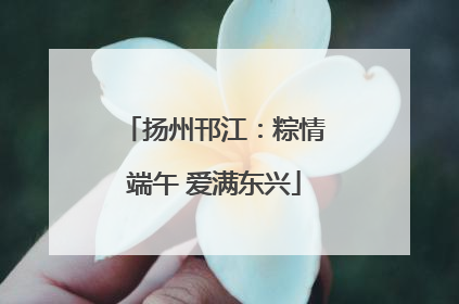 扬州邗江：粽情端午 爱满东兴