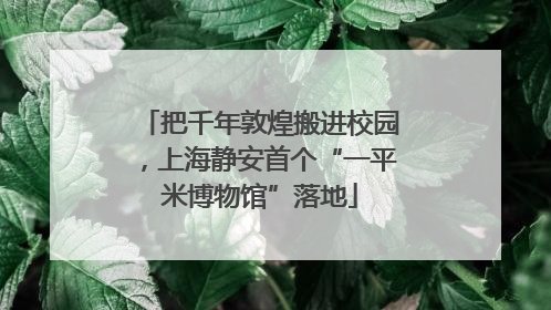 把千年敦煌搬进校园，上海静安首个“一平米博物馆”落地
