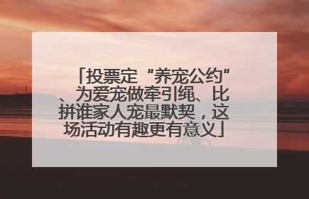 投票定“养宠公约”、为爱宠做牵引绳、比拼谁家人宠最默契，这场活动有趣更有意义