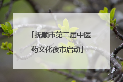 抚顺市第二届中医药文化夜市启动