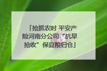 抢抓农时 平安产险河南分公司“抗旱抢收”保夏粮归仓