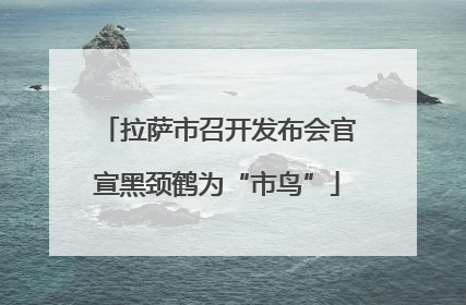 拉萨市召开发布会官宣黑颈鹤为“市鸟”