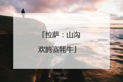 拉萨：山沟欢腾赛牦牛