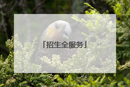 招生全服务