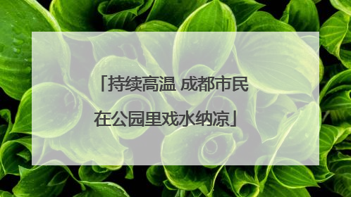 持续高温 成都市民在公园里戏水纳凉
