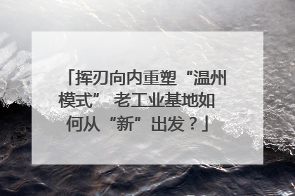 挥刃向内重塑“温州模式” 老工业基地如何从“新”出发？