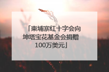 柬埔寨红十字会向坤塔宝花基金会捐赠100万美元