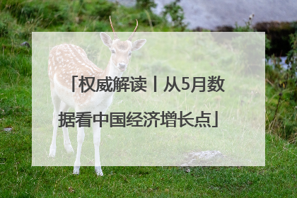 权威解读丨从5月数据看中国经济增长点