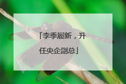 李季履新，升任央企副总