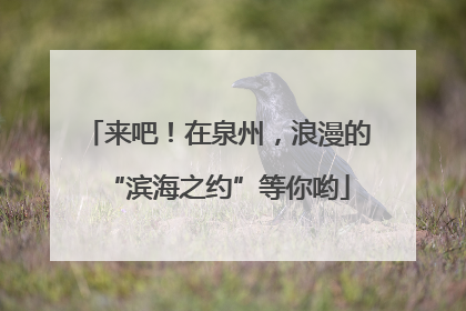 来吧！在泉州，浪漫的“滨海之约”等你哟