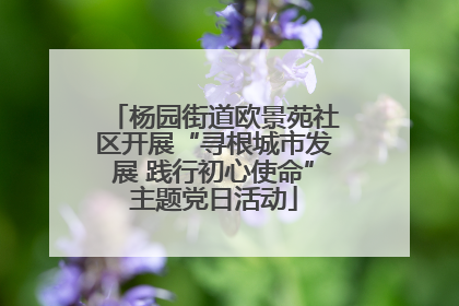 杨园街道欧景苑社区开展“寻根城市发展 践行初心使命”主题党日活动