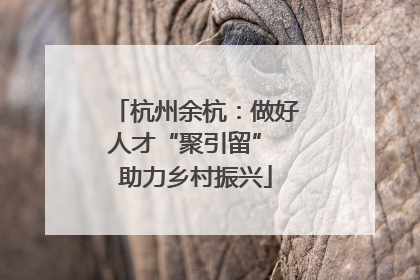 杭州余杭：做好人才“聚引留” 助力乡村振兴
