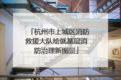 杭州市上城区消防救援大队绘就基层消防治理新图景