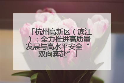 杭州高新区（滨江）：全力推进高质量发展与高水平安全“双向奔赴”