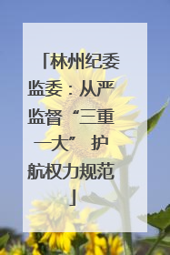 林州纪委监委：从严监督“三重一大” 护航权力规范