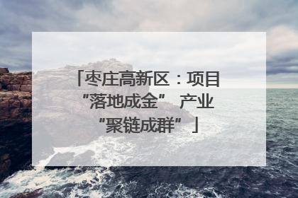枣庄高新区：项目“落地成金” 产业“聚链成群”