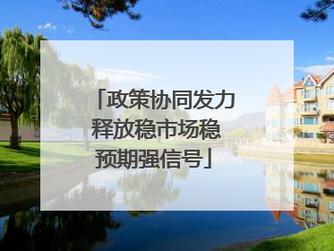 政策协同发力 释放稳市场稳预期强信号