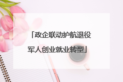 政企联动护航退役军人创业就业转型