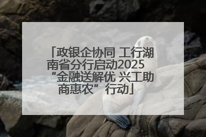 政银企协同 工行湖南省分行启动2025“金融送解优 兴工助商惠农”行动