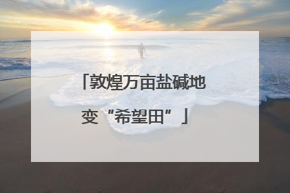 敦煌万亩盐碱地变“希望田”