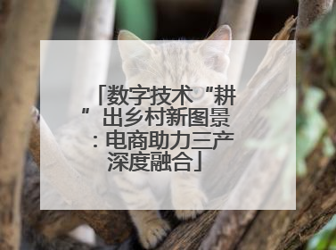 数字技术“耕”出乡村新图景：电商助力三产深度融合