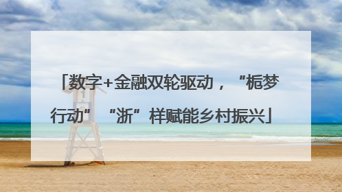 数字+金融双轮驱动，“栀梦行动”“浙”样赋能乡村振兴