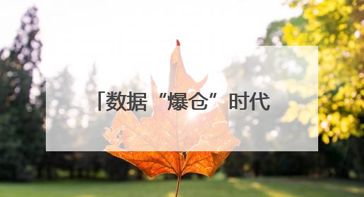 数据“爆仓”时代：NAS开启个人存储新可能｜通讯Plus·深度
