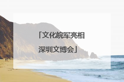 文化皖军亮相深圳文博会