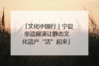 文化中国行｜宁夏 非遗展演让静态文化遗产“活”起来