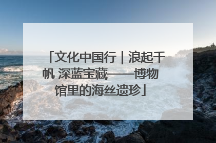 文化中国行｜浪起千帆 深蓝宝藏——博物馆里的海丝遗珍