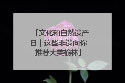 文化和自然遗产日｜这些非遗向你推荐大美榆林