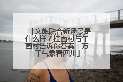 文旅融合新场景是什么样？挂面村与年画村告诉你答案丨万千气象看四川