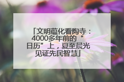 文明蕴化看陶寺：4000多年前的“日历”上，夏至晨光见证先民智慧