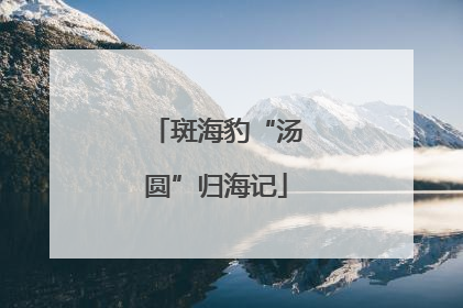 斑海豹“汤圆”归海记