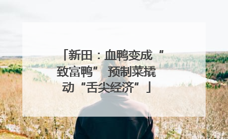 新田：血鸭变成“致富鸭” 预制菜撬动“舌尖经济”