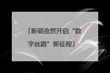 新疆孜然开启“数字丝路”新征程