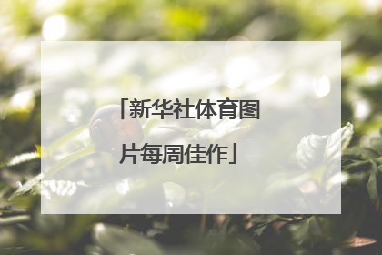 新华社体育图片每周佳作