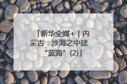 新华全媒+｜内蒙古：沙海之中建“蓝海”(2)