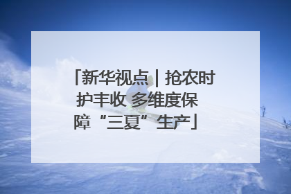 新华视点｜抢农时 护丰收 多维度保障“三夏”生产