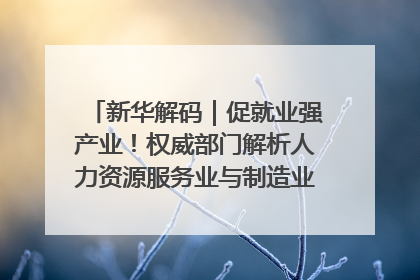 新华解码｜促就业强产业！权威部门解析人力资源服务业与制造业融合发展试点