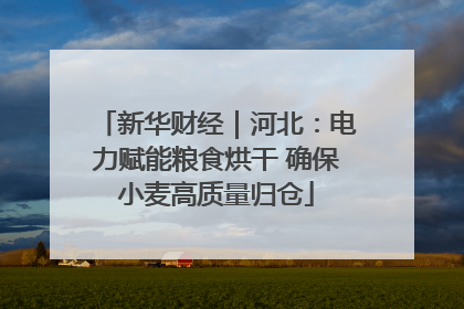新华财经｜河北：电力赋能粮食烘干 确保小麦高质量归仓