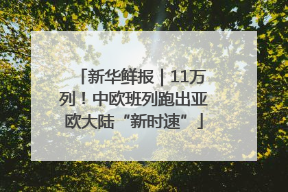 新华鲜报｜11万列！中欧班列跑出亚欧大陆“新时速”