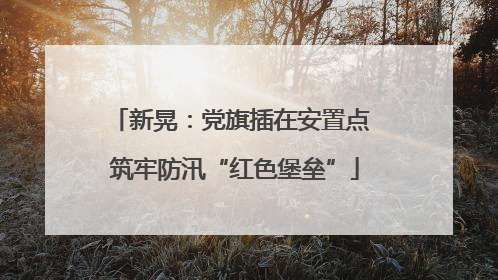 新晃：党旗插在安置点 筑牢防汛“红色堡垒”