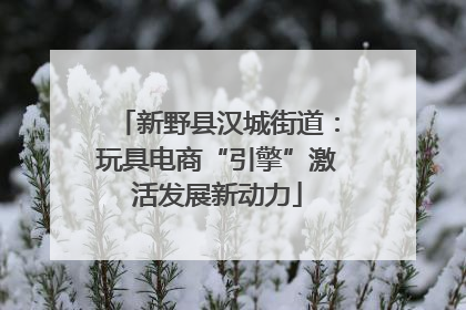新野县汉城街道：玩具电商“引擎”激活发展新动力